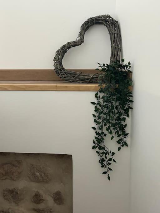 Gite Belle Vue Thannenkirch Ngoại thất bức ảnh