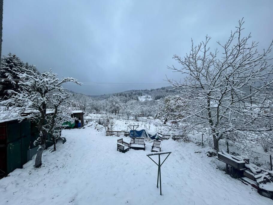 Gite Belle Vue Thannenkirch Ngoại thất bức ảnh
